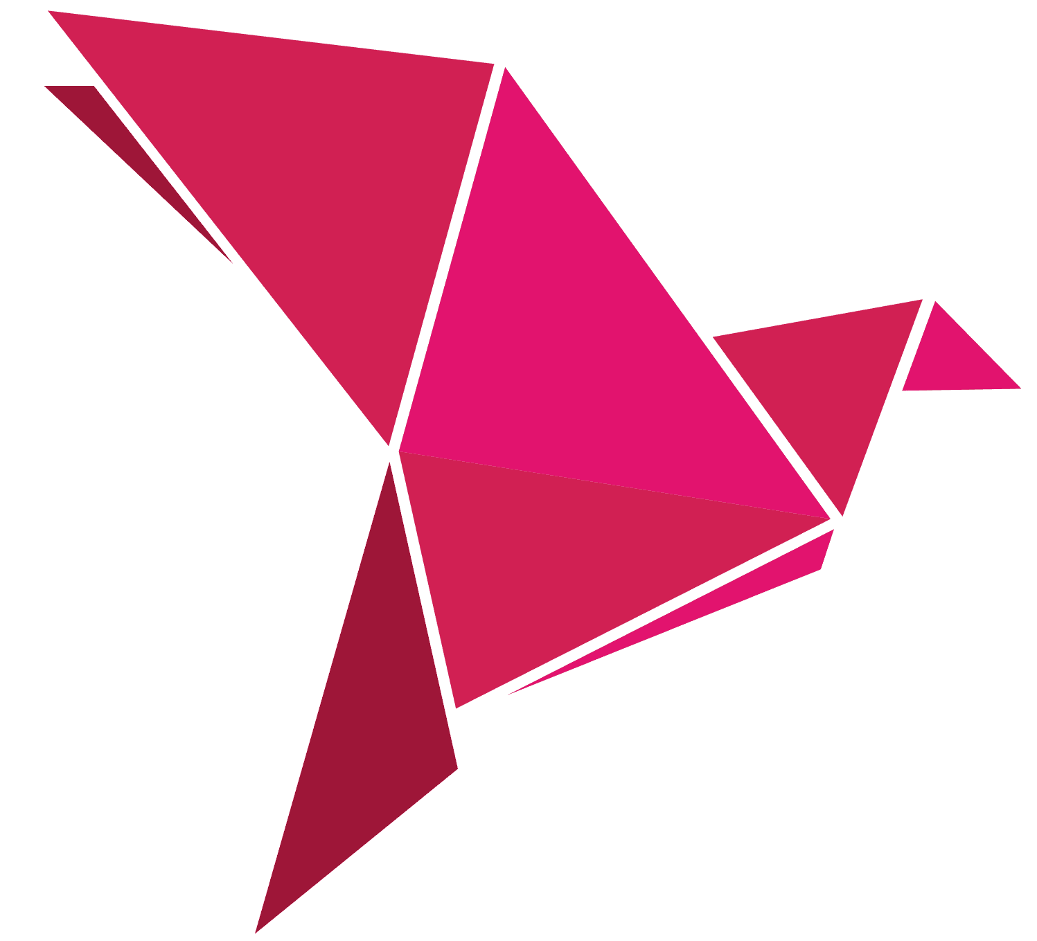 bKash logo
